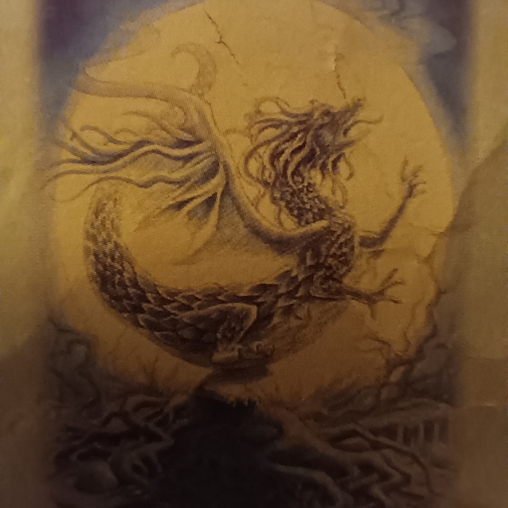 Mystical Dragon Tarot 3 Card Reading